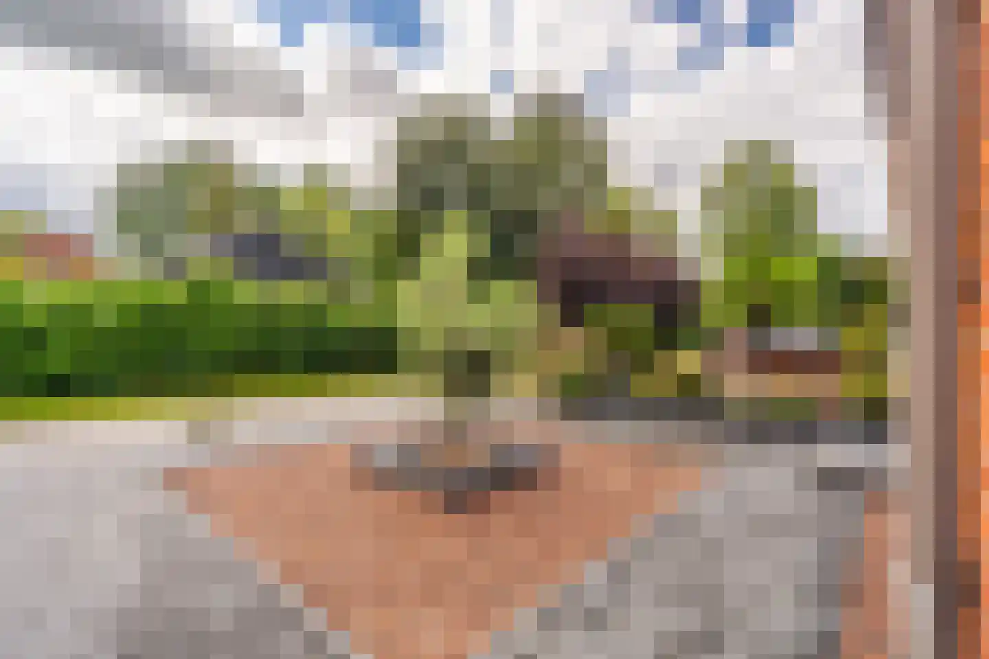 Essenlaan 8 Veelerveen thumbnail 7