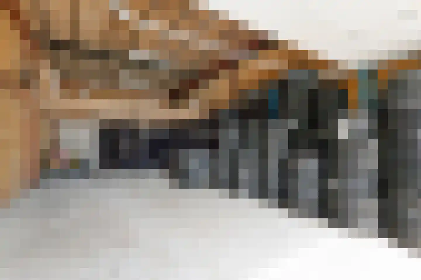 Essenlaan 9 Zwanenburg thumbnail 21
