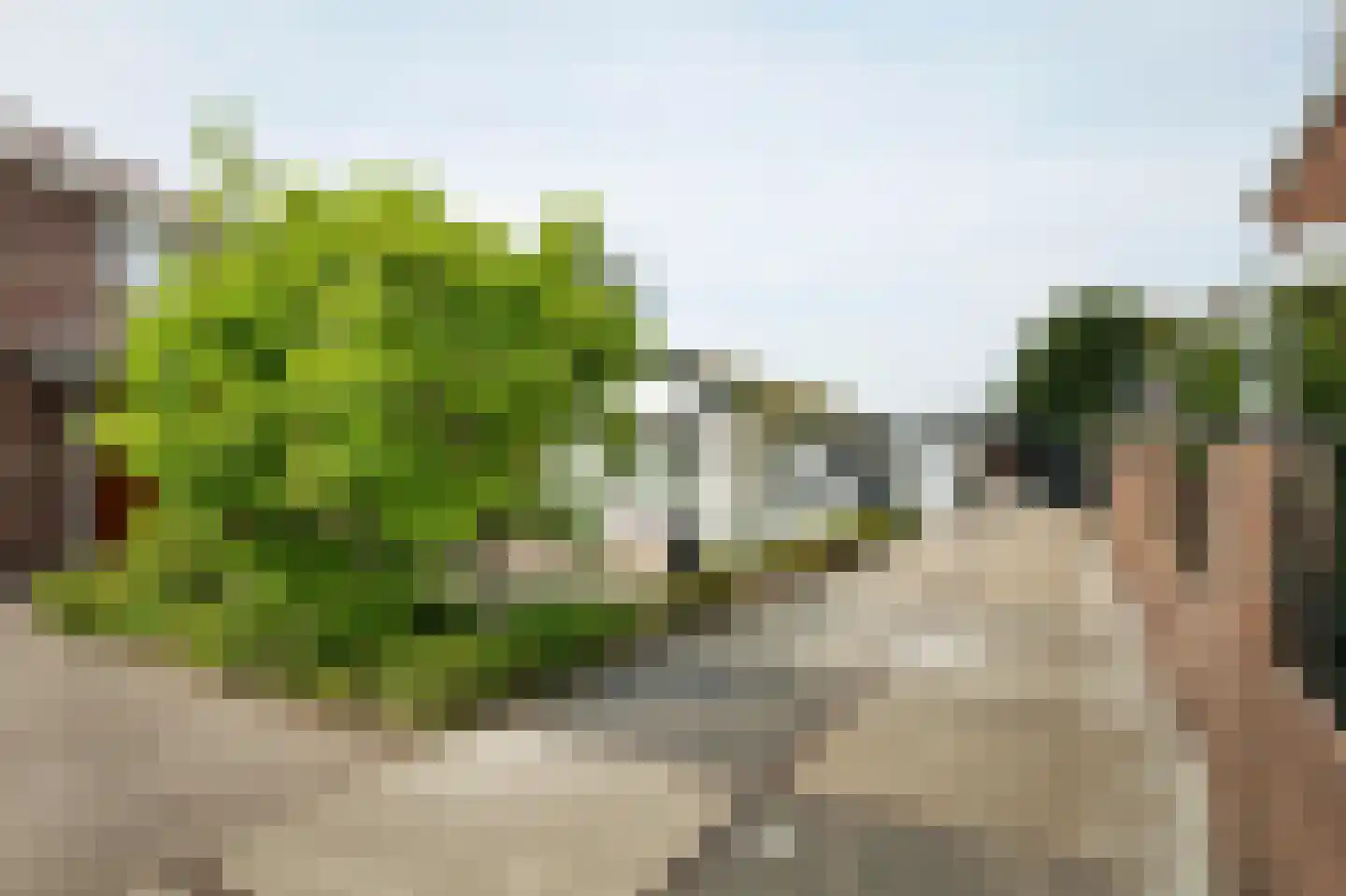 Essenlaan 9 Zwanenburg thumbnail 26