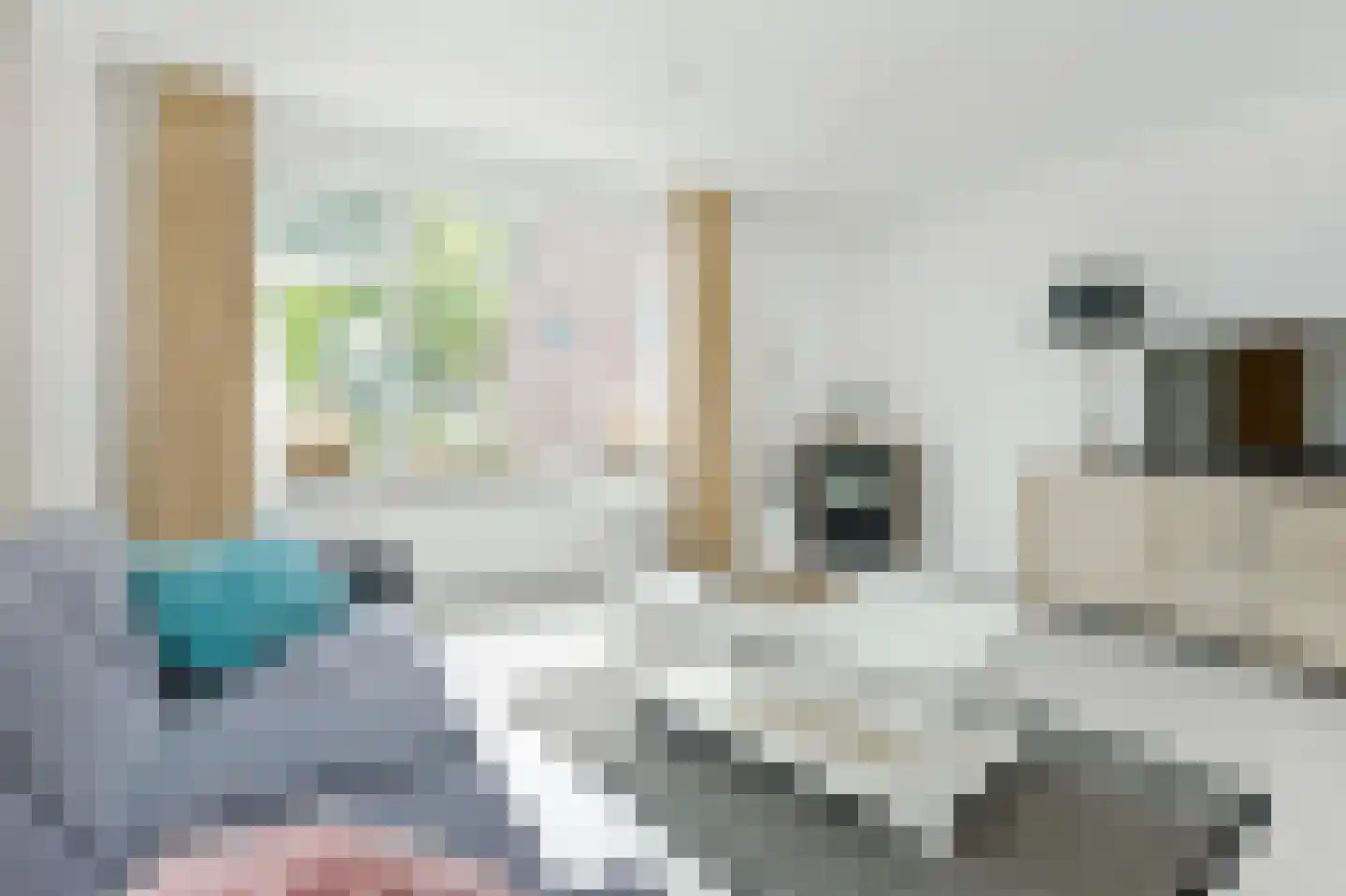 Essenlaan 9 Zwanenburg thumbnail 7