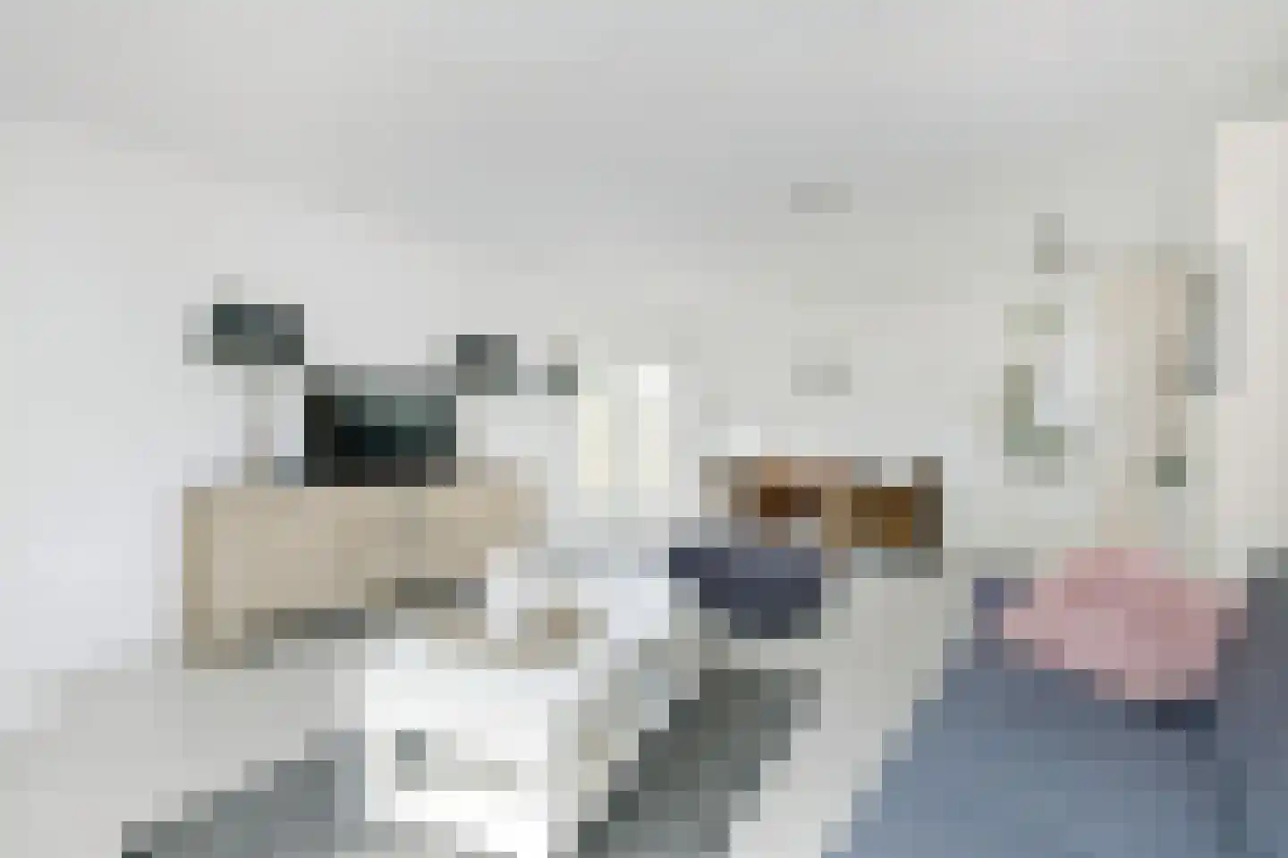 Essenlaan 9 Zwanenburg thumbnail 8