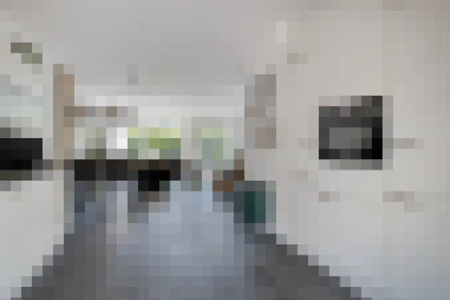 Essenpad 7 't Harde thumbnail 23