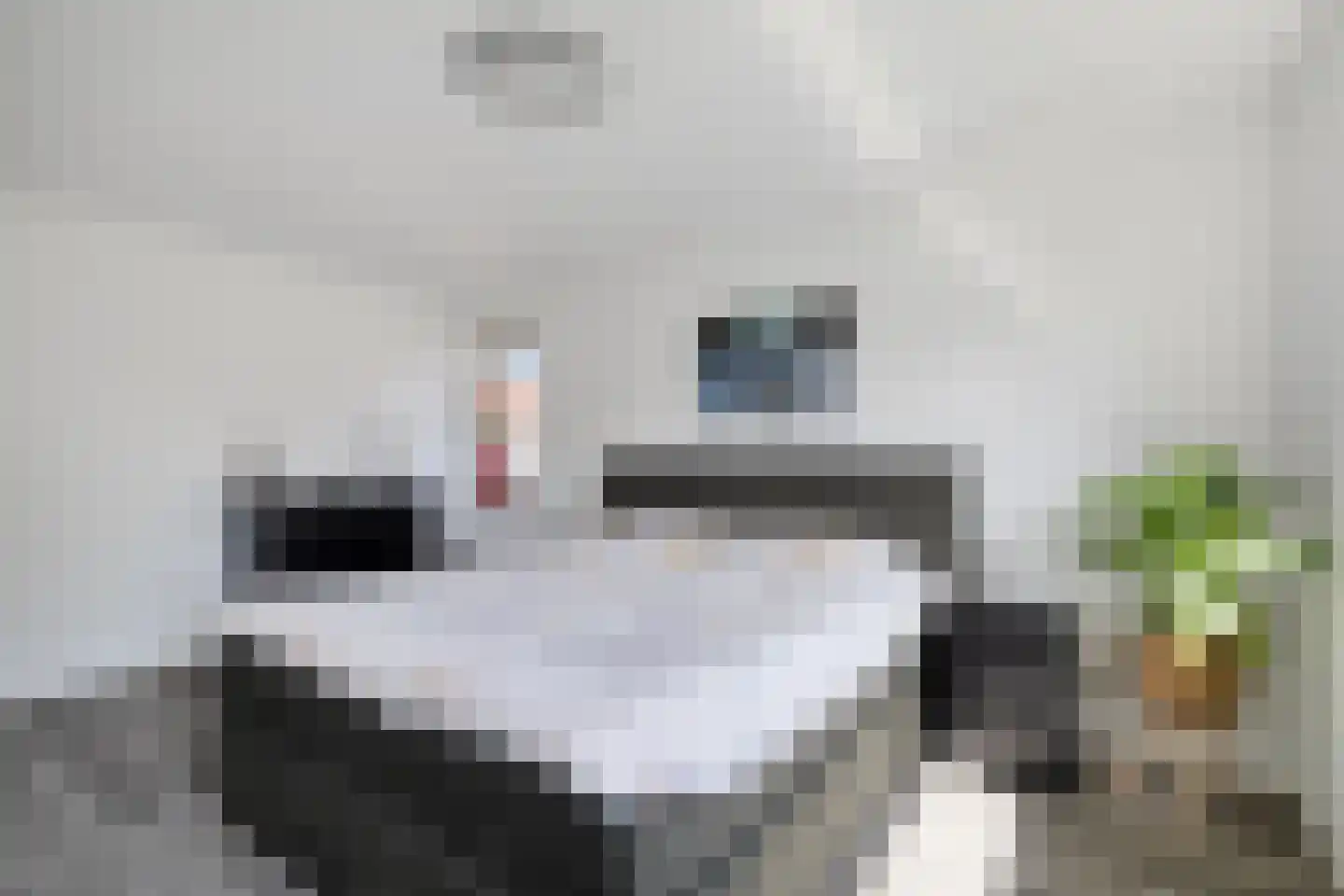 Essenpad 7 't Harde thumbnail 28