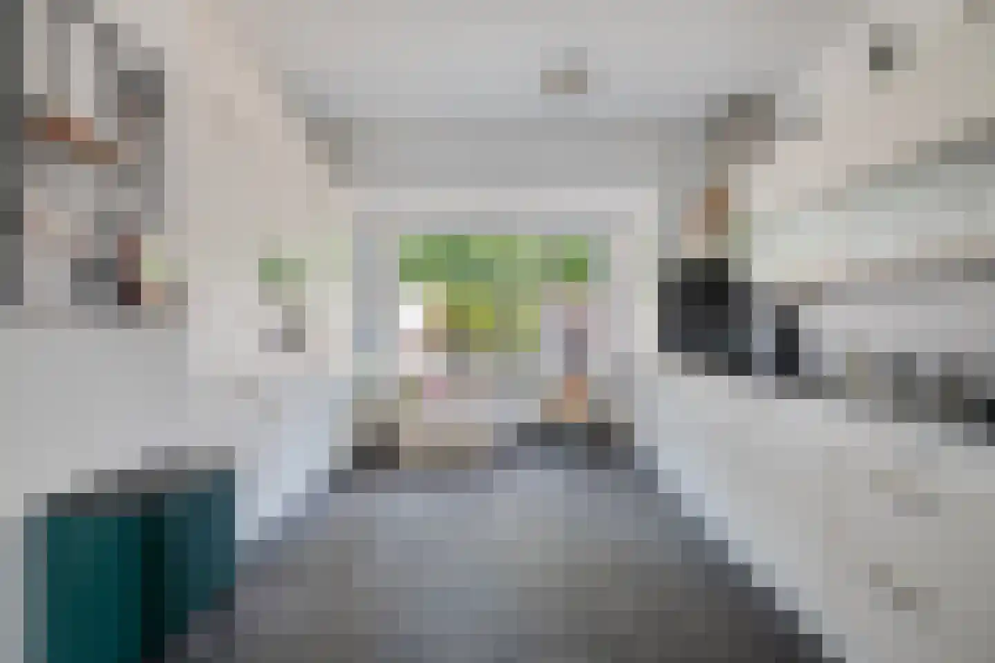 Essenpad 7 't Harde foto 3