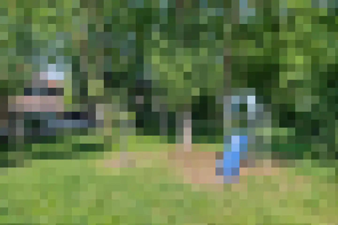 Essenpad 7 't Harde thumbnail 46