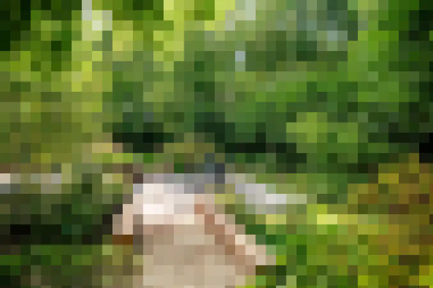 Essenpark 1 Leiderdorp thumbnail 10