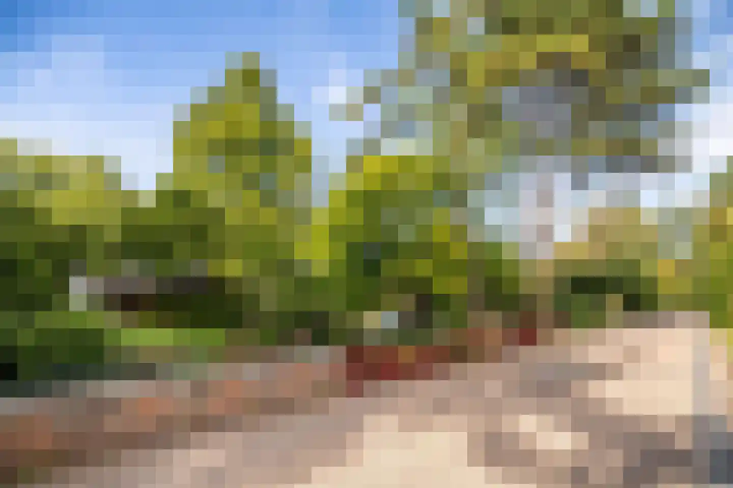Essenpark 1 Leiderdorp thumbnail 11