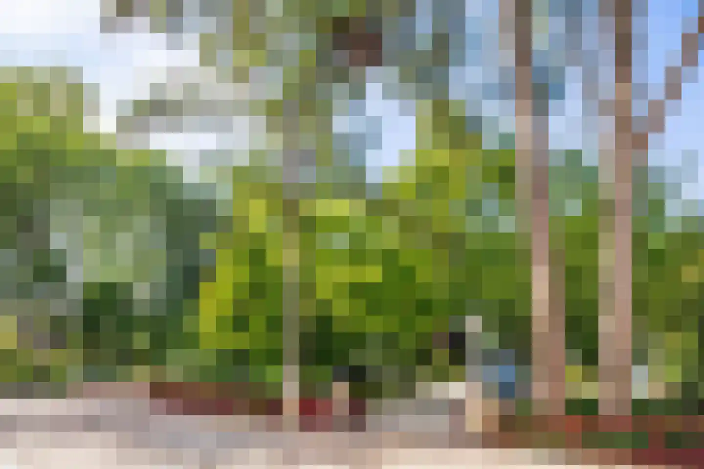 Essenpark 1 Leiderdorp thumbnail 12
