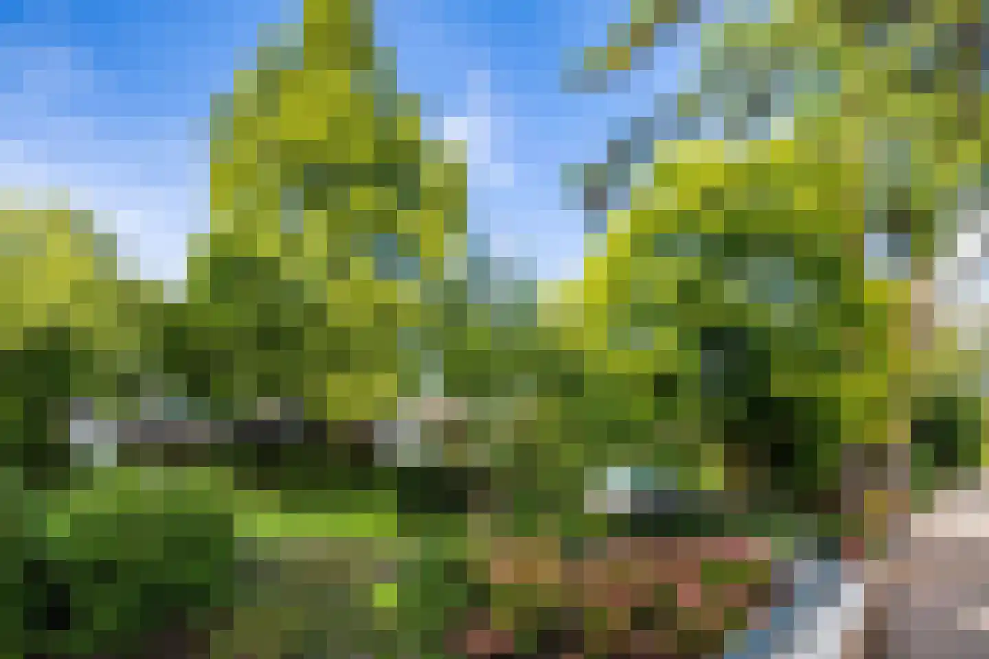 Essenpark 1 Leiderdorp thumbnail 13