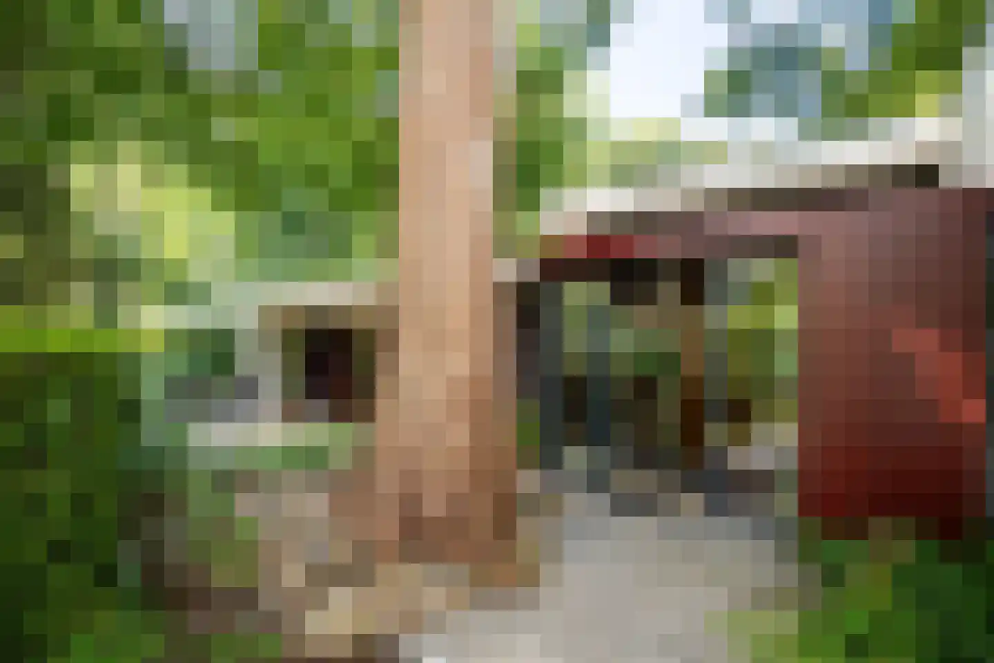 Essenpark 1 Leiderdorp thumbnail 17