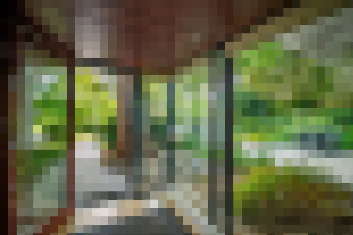 Essenpark 1 Leiderdorp thumbnail 18