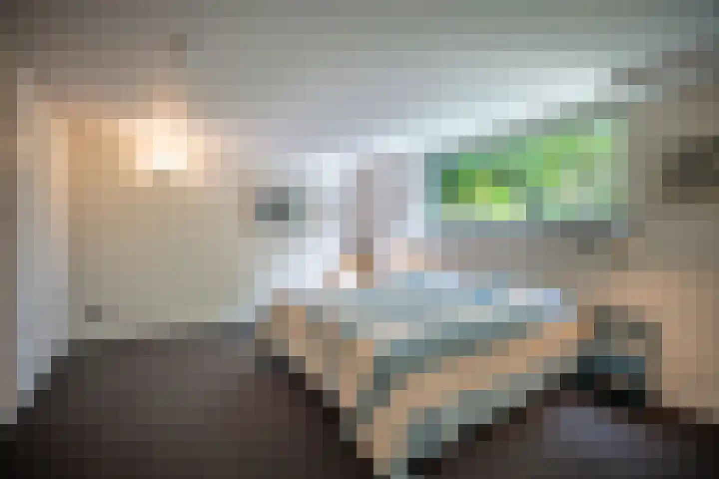 Essenpark 1 Leiderdorp thumbnail 33