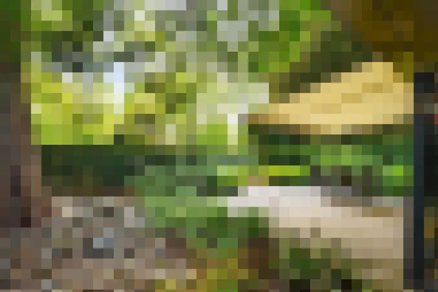 Essenpark 1 Leiderdorp thumbnail 5