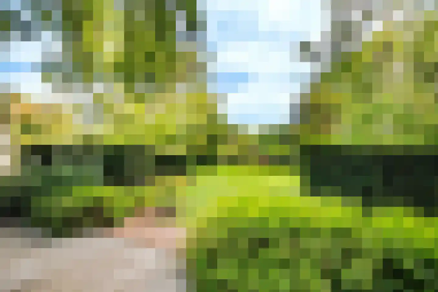 Essenpark 1 Leiderdorp thumbnail 6