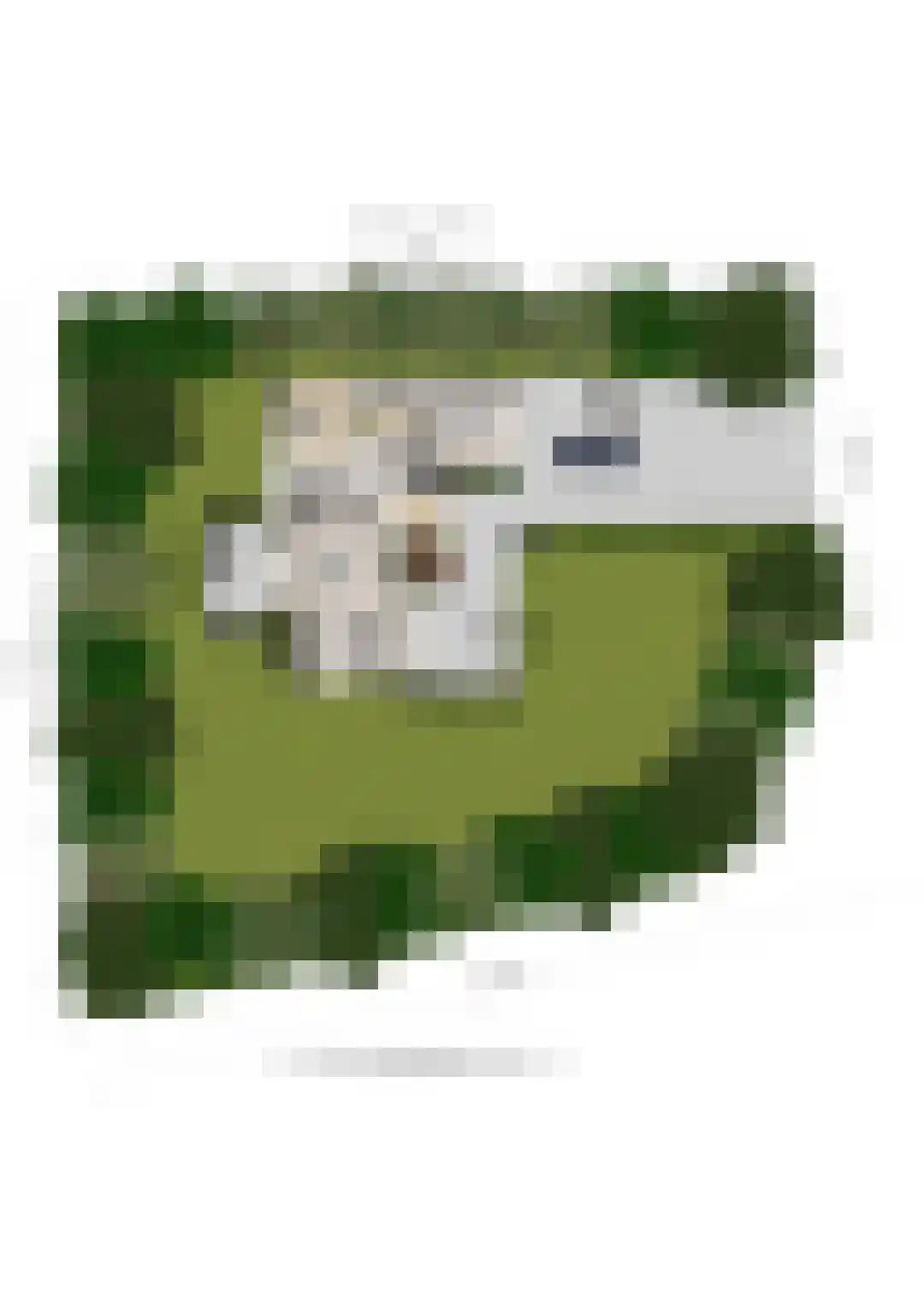 Essenpark 1 Leiderdorp thumbnail 67