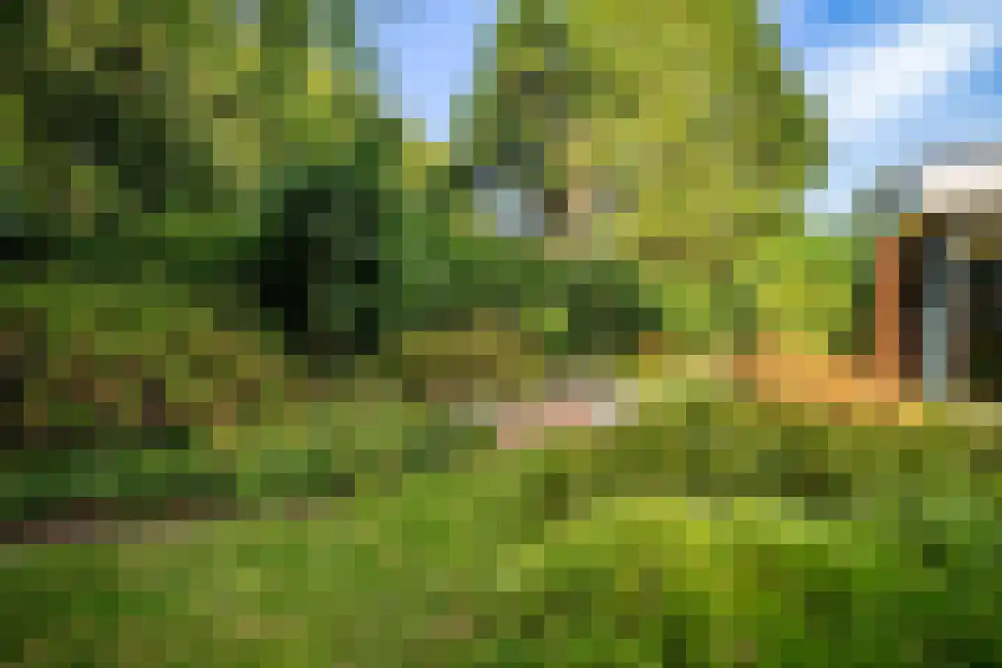 Essenpark 1 Leiderdorp thumbnail 9