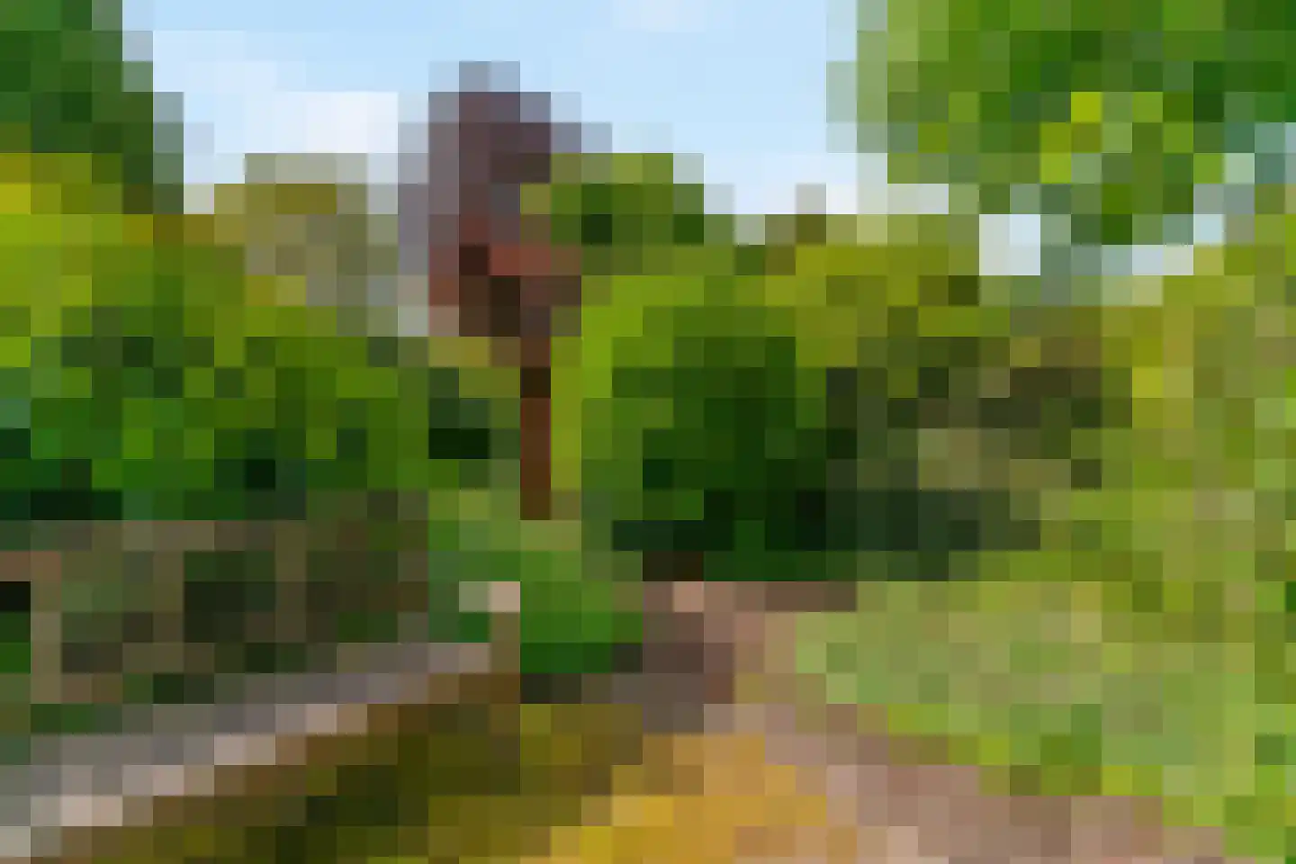 Essenpark 22 Leiderdorp thumbnail 35