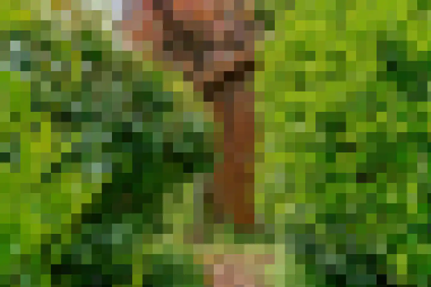 Essenpark 22 Leiderdorp thumbnail 36