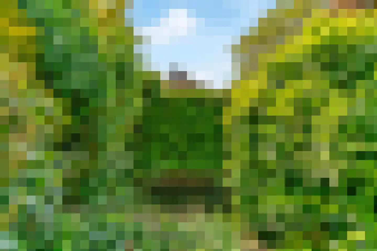 Essenpark 22 Leiderdorp thumbnail 39