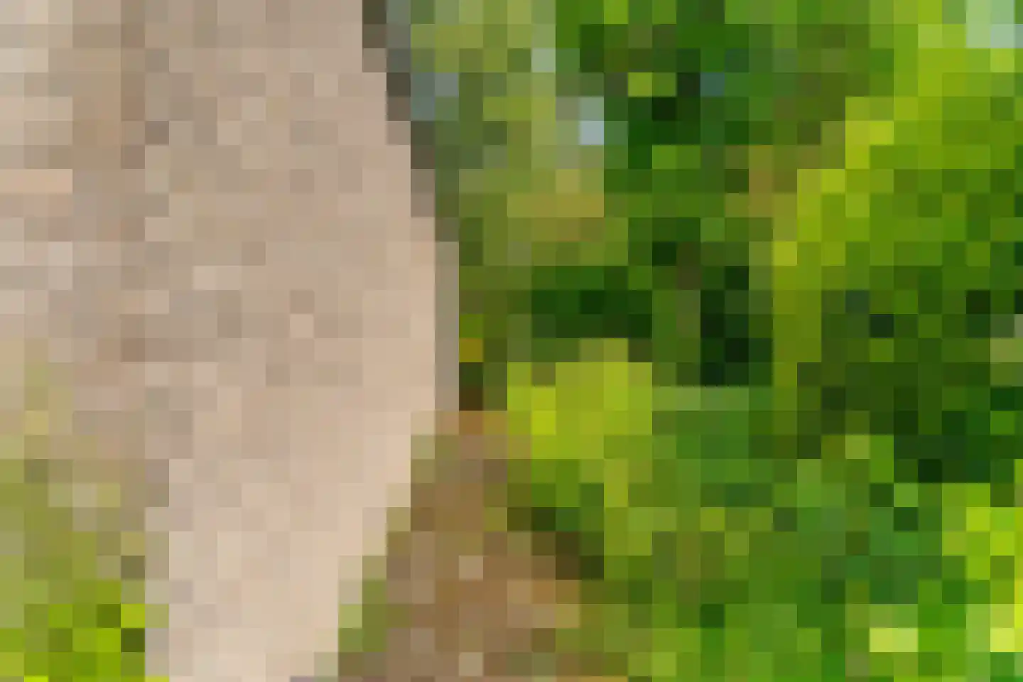 Essenpark 22 Leiderdorp thumbnail 40