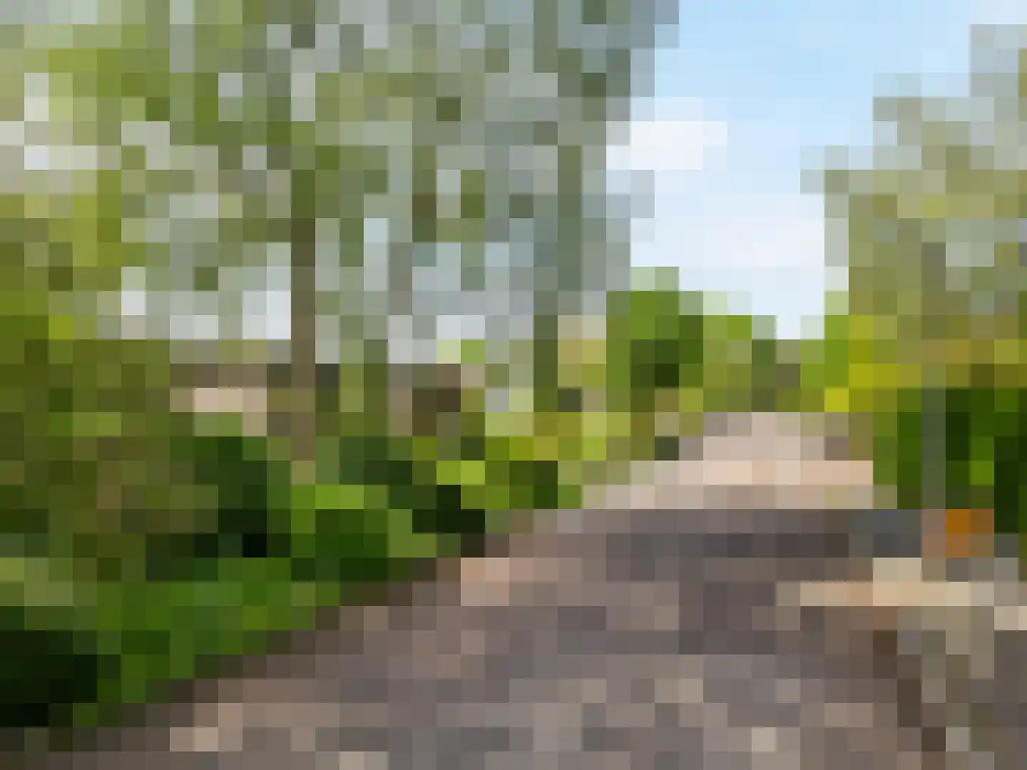 Essenpark 22 Leiderdorp thumbnail 47