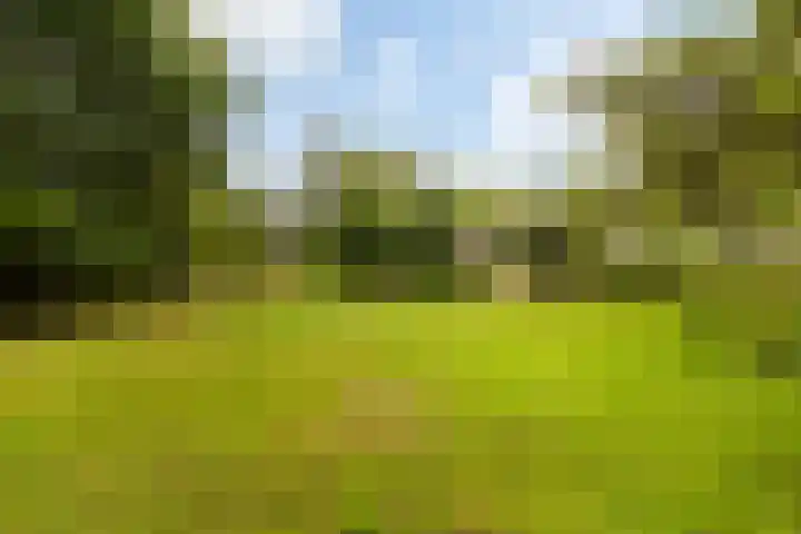 Essenpark 3 Leiderdorp thumbnail 47
