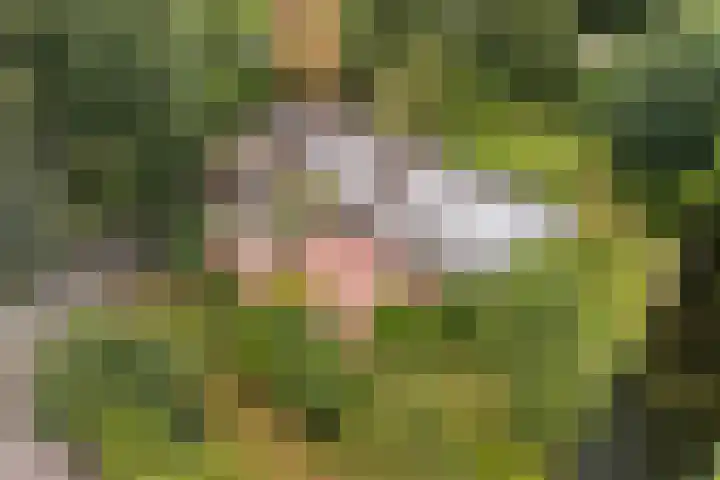Essenpark 3 Leiderdorp thumbnail 8