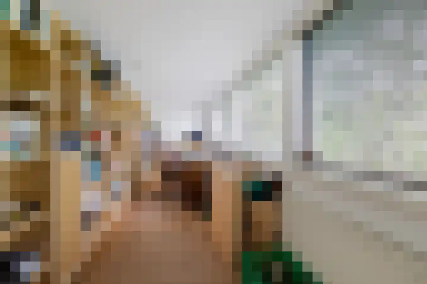 Essenpark 6 Leiderdorp thumbnail 15