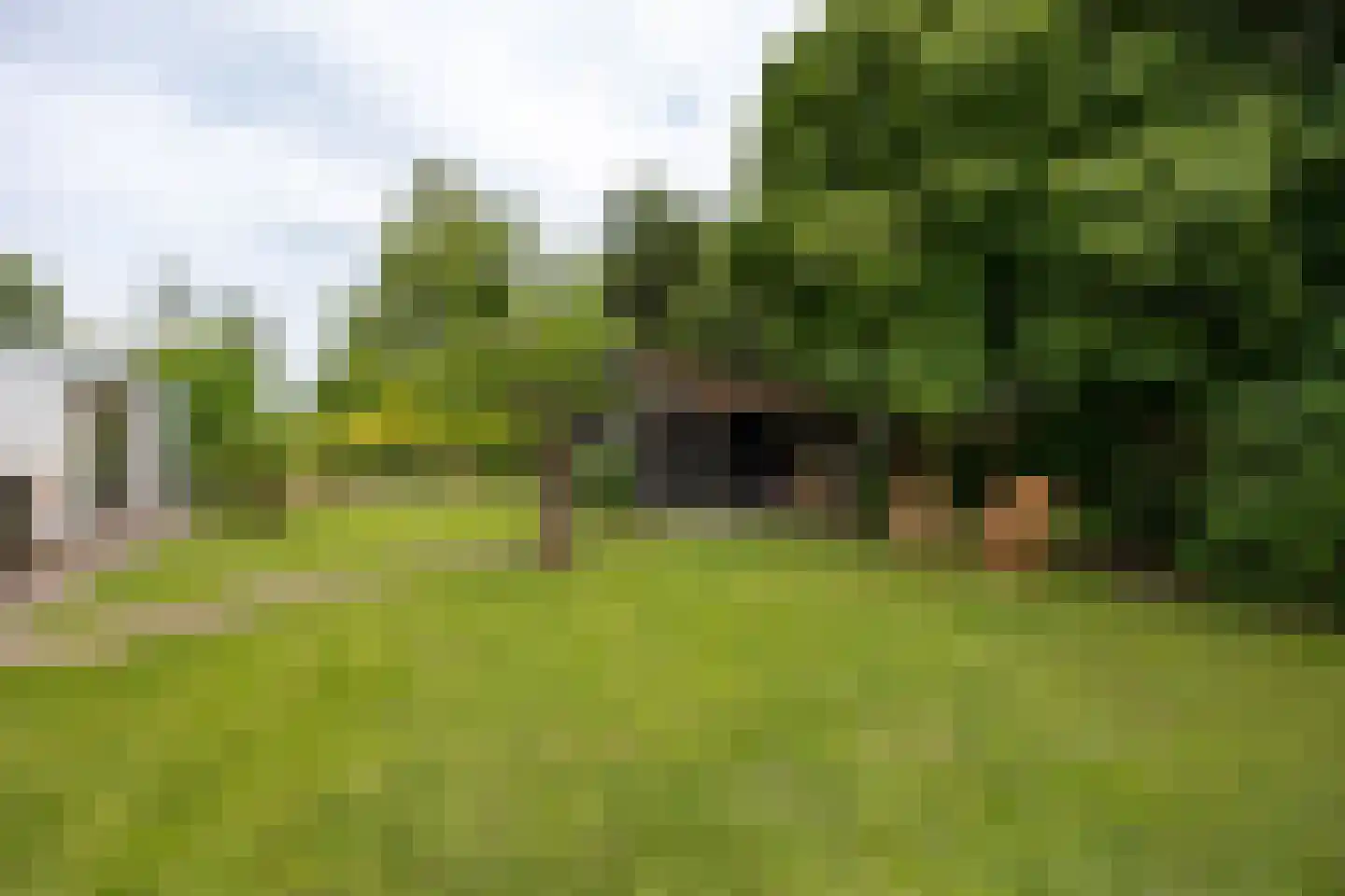 Essenpark 6 Leiderdorp thumbnail 26