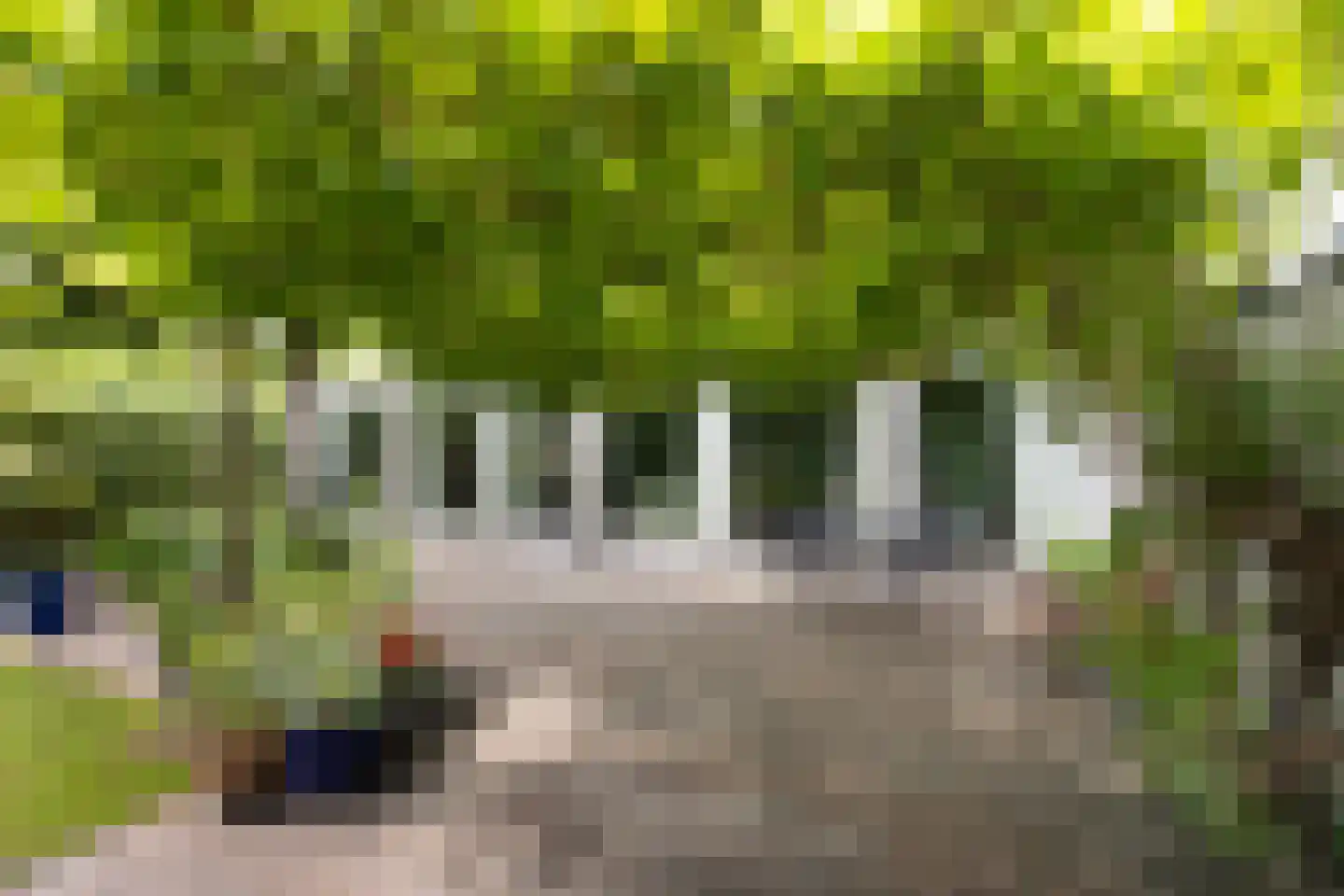 Essenpark 6 Leiderdorp thumbnail 27