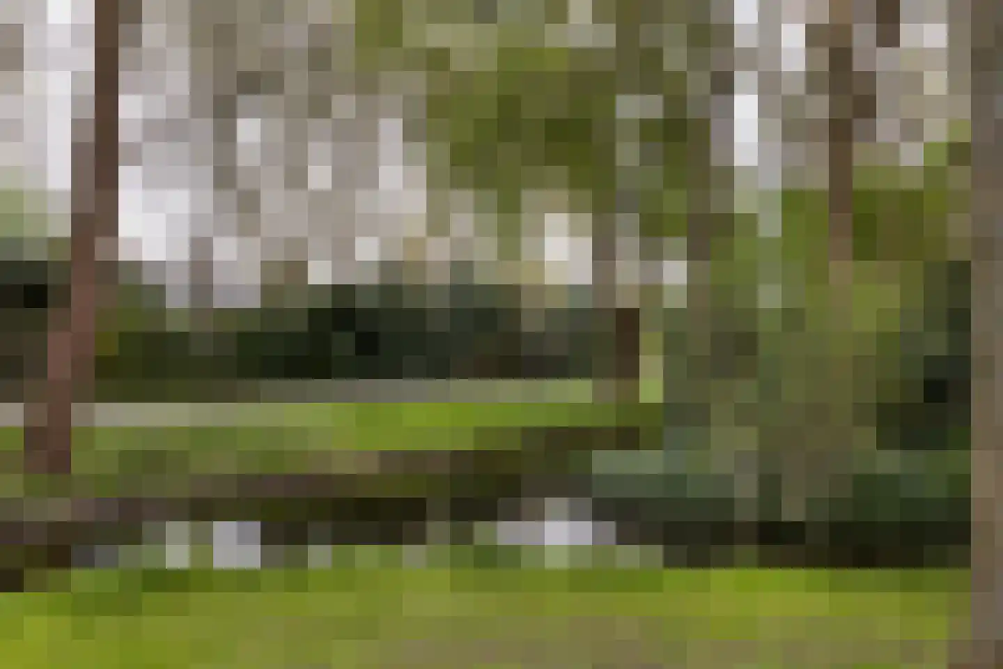 Essenpark 6 Leiderdorp thumbnail 33