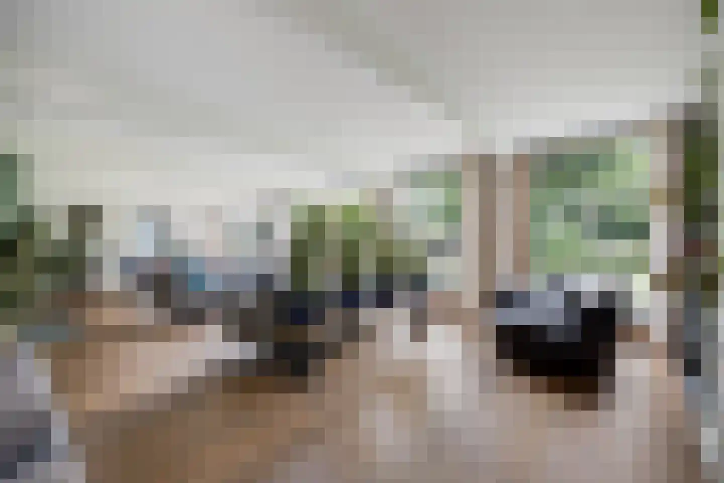 Essenpark 6 Leiderdorp thumbnail 6