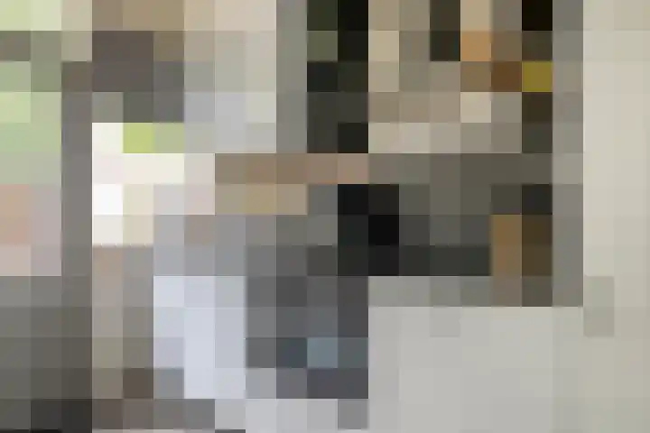 Essenpas 38 Zevenaar thumbnail 10