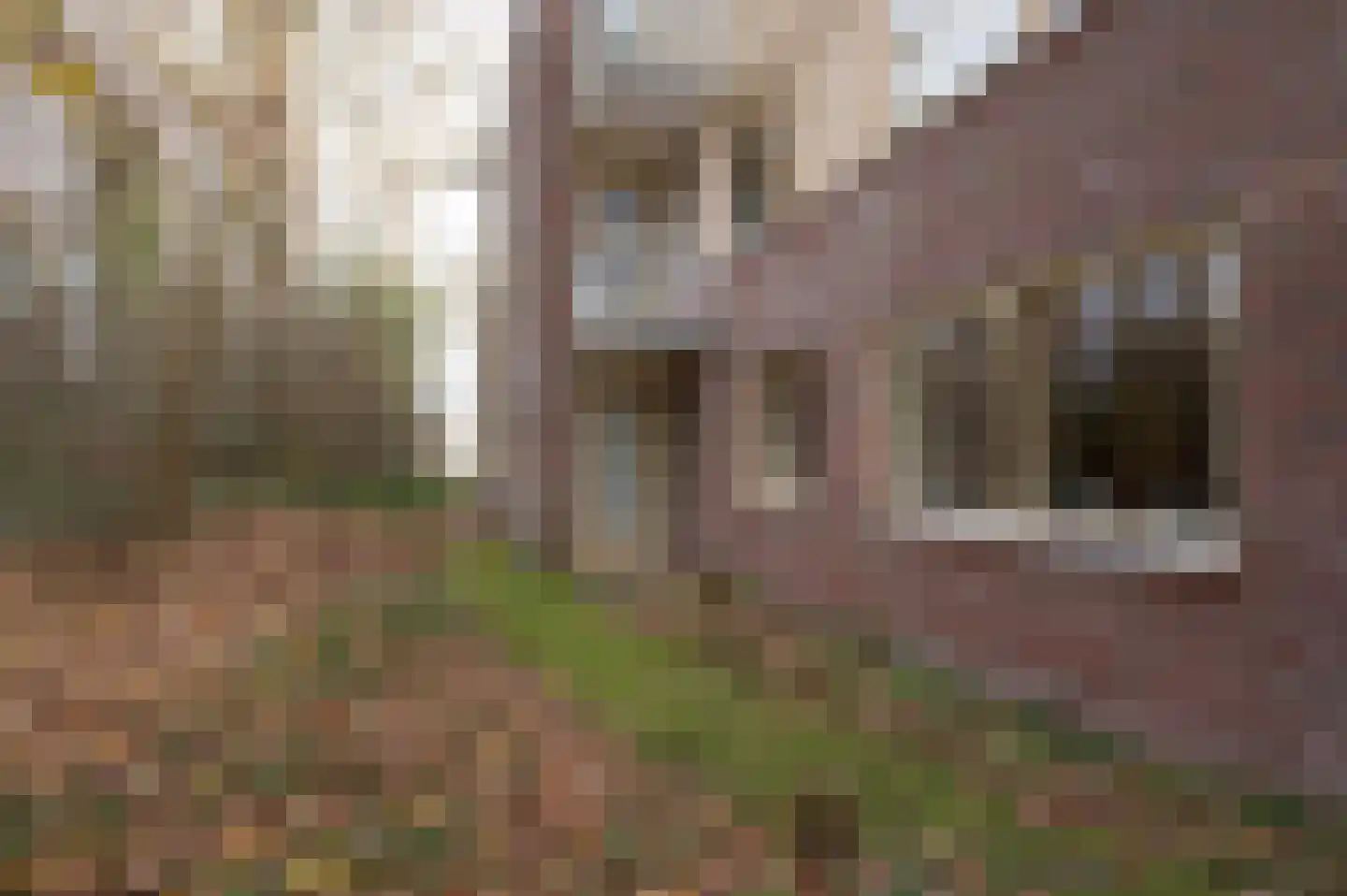 Essenpas 38 Zevenaar thumbnail 12