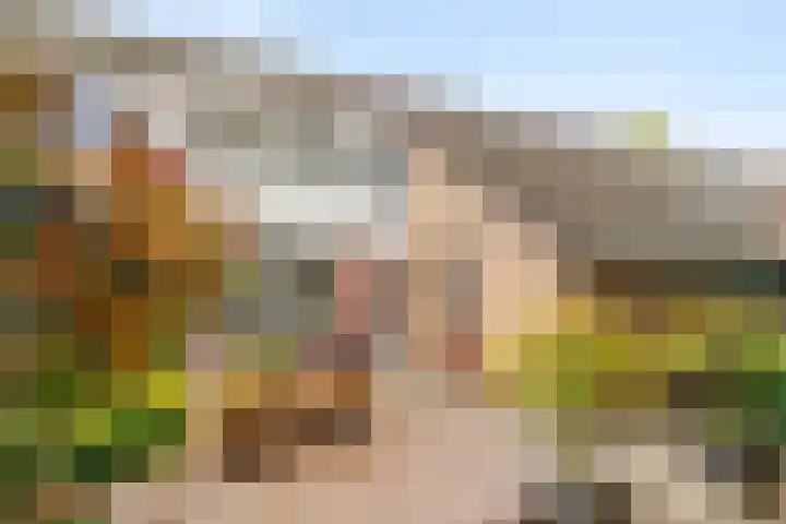 Essenpas 38 Zevenaar foto 2