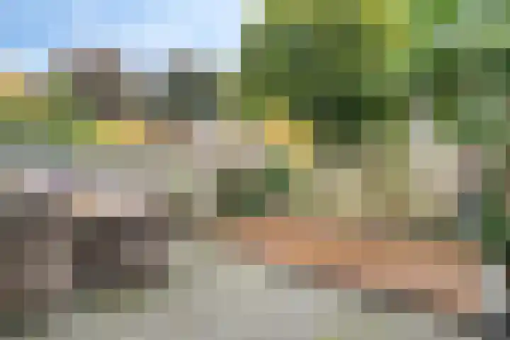 Essenpas 38 Zevenaar thumbnail 24