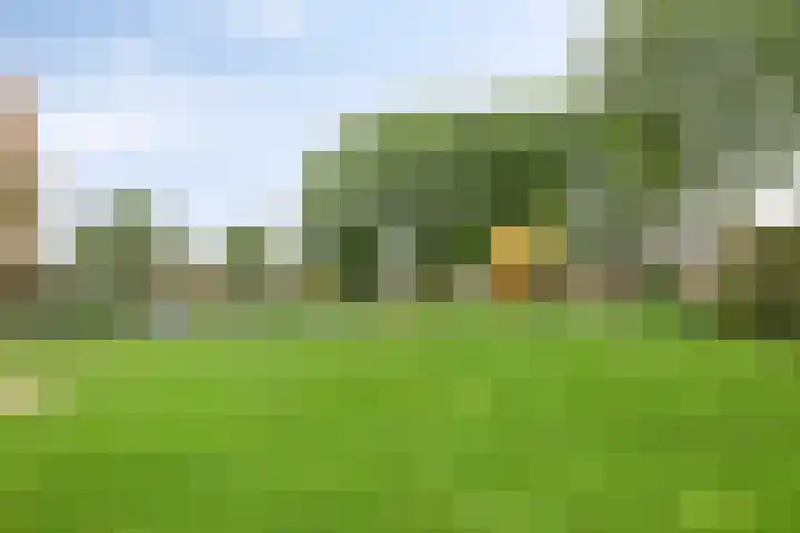 Essenpas 38 Zevenaar thumbnail 28