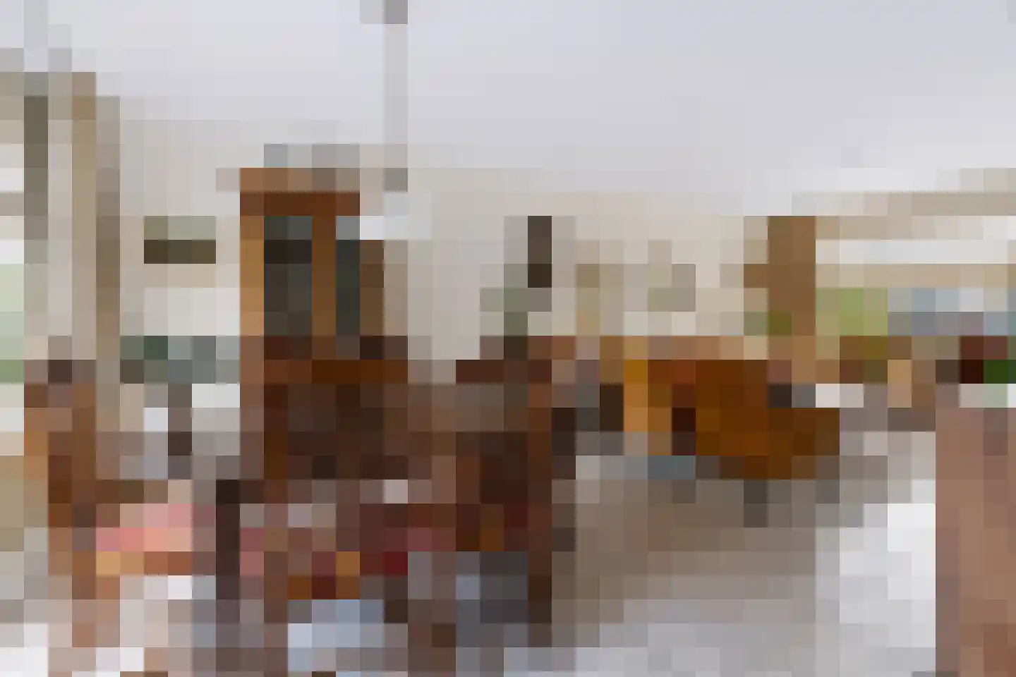 Essenpas 6 Zevenaar thumbnail 15