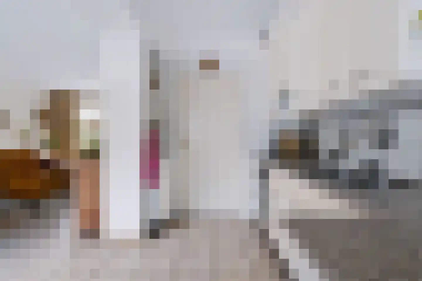 Essenpas 6 Zevenaar thumbnail 18