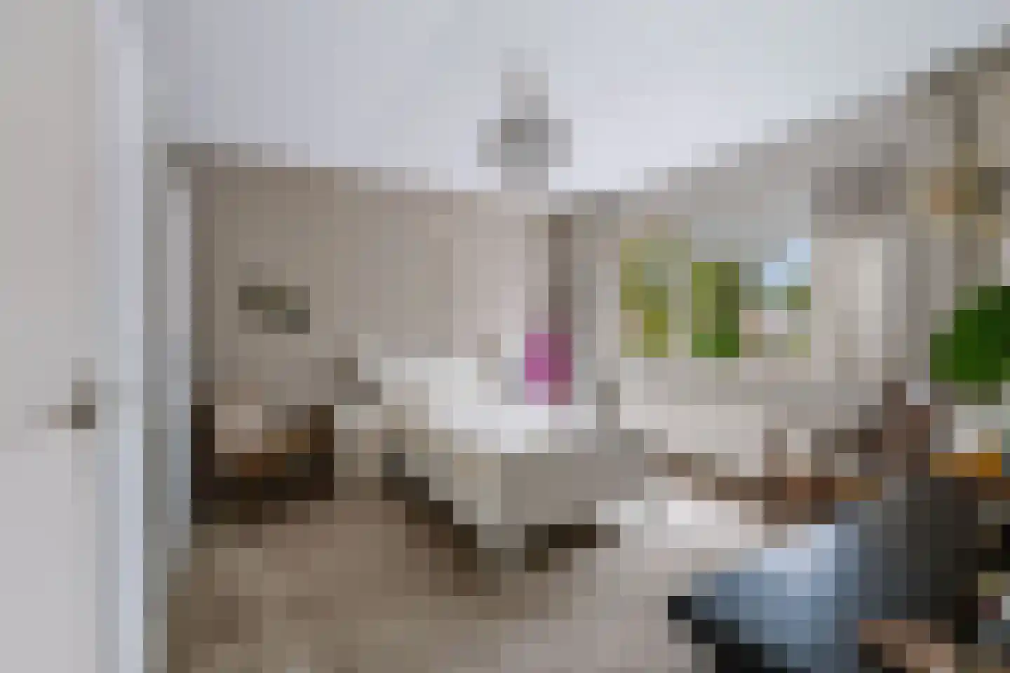 Essenpas 6 Zevenaar thumbnail 22