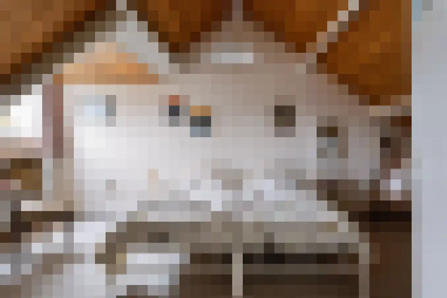 Essenpas 6 Zevenaar thumbnail 37