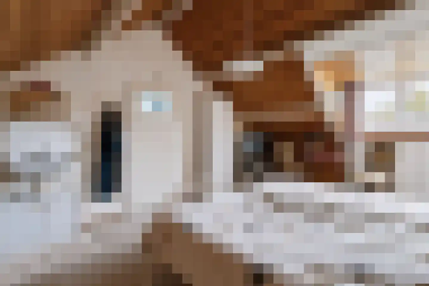 Essenpas 6 Zevenaar thumbnail 38