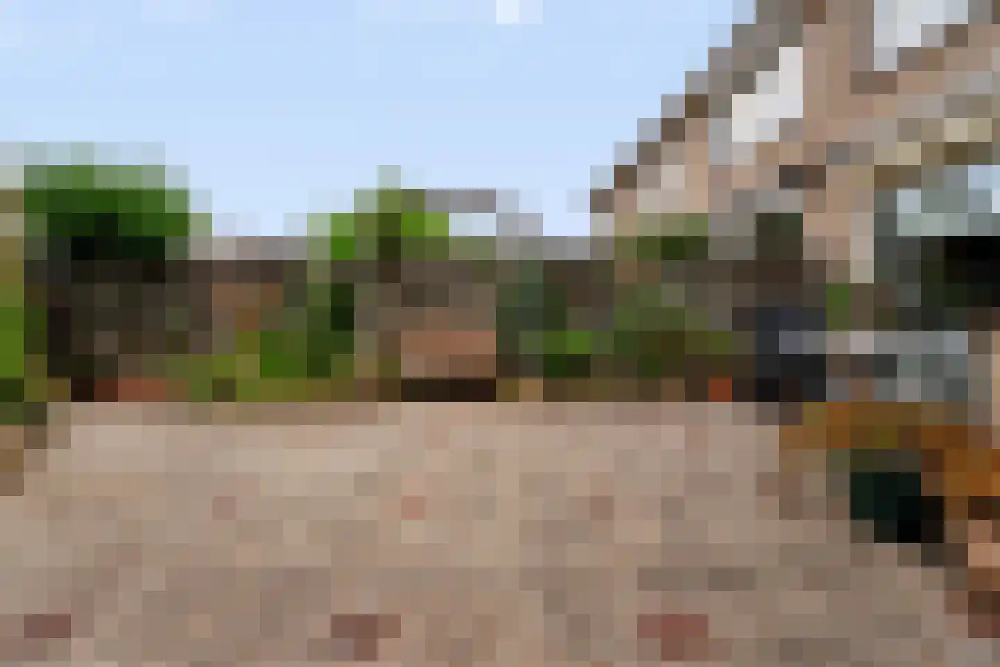 Essenpas 6 Zevenaar thumbnail 45