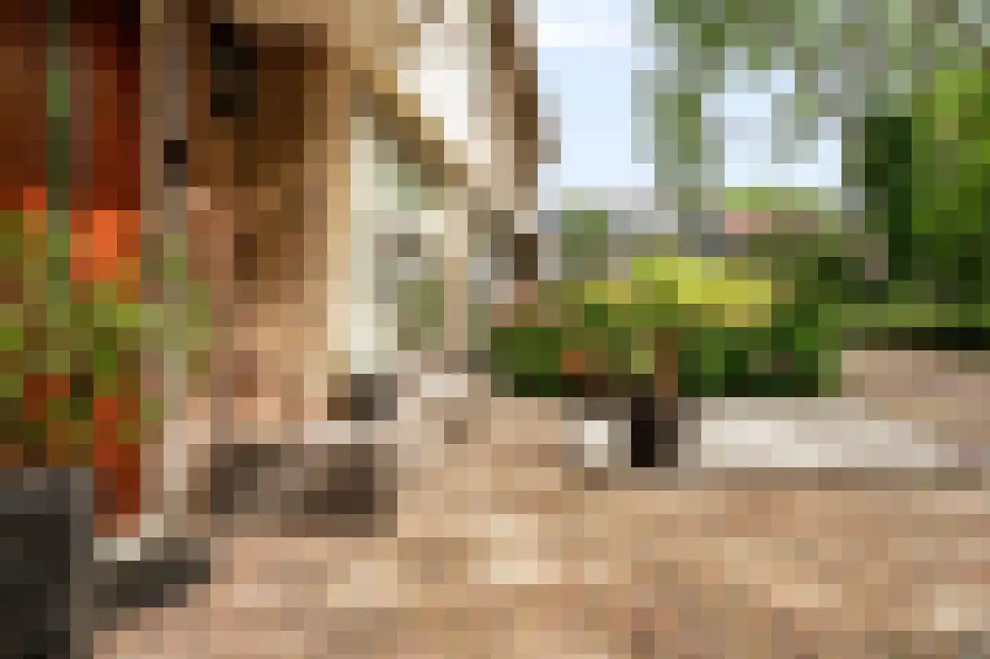 Essenpas 6 Zevenaar thumbnail 46