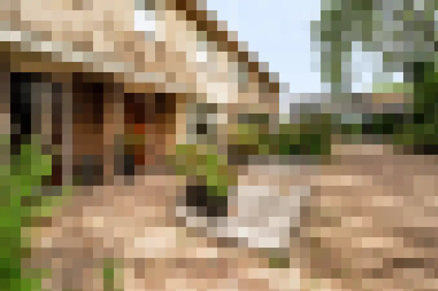 Essenpas 6 Zevenaar thumbnail 47