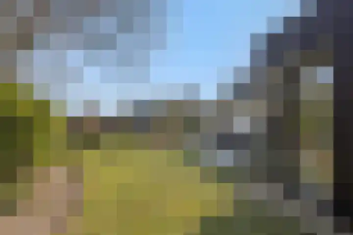 Essenpassage 1 Gendt thumbnail 13