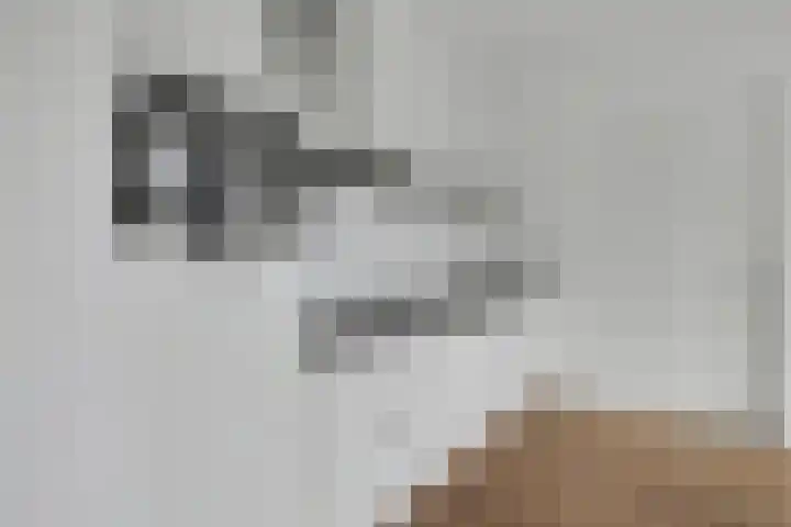 Essenpassage 1 Gendt thumbnail 8