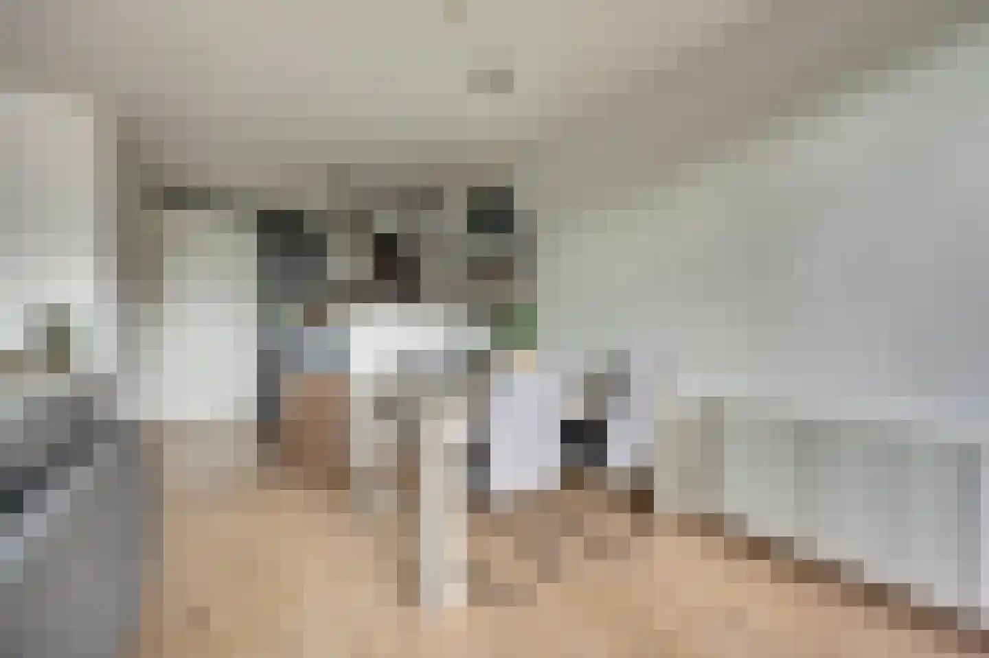 Essenpassage 23 Gendt thumbnail 15