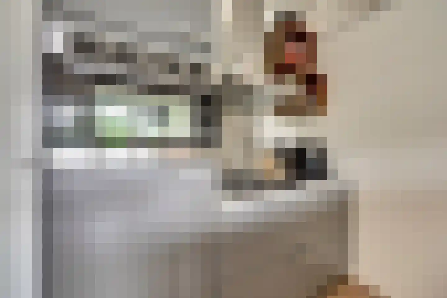 Essenpassage 23 Gendt thumbnail 20