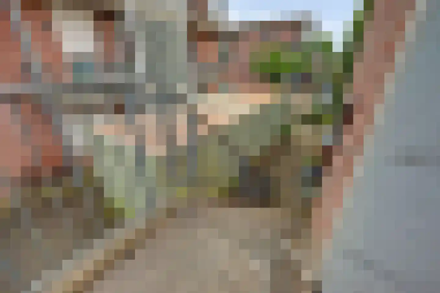 Essenpassage 23 Gendt thumbnail 33